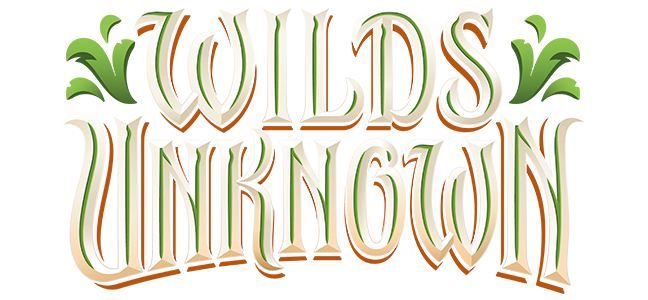 Disney Lorcana TCG: Booster Box Subscription